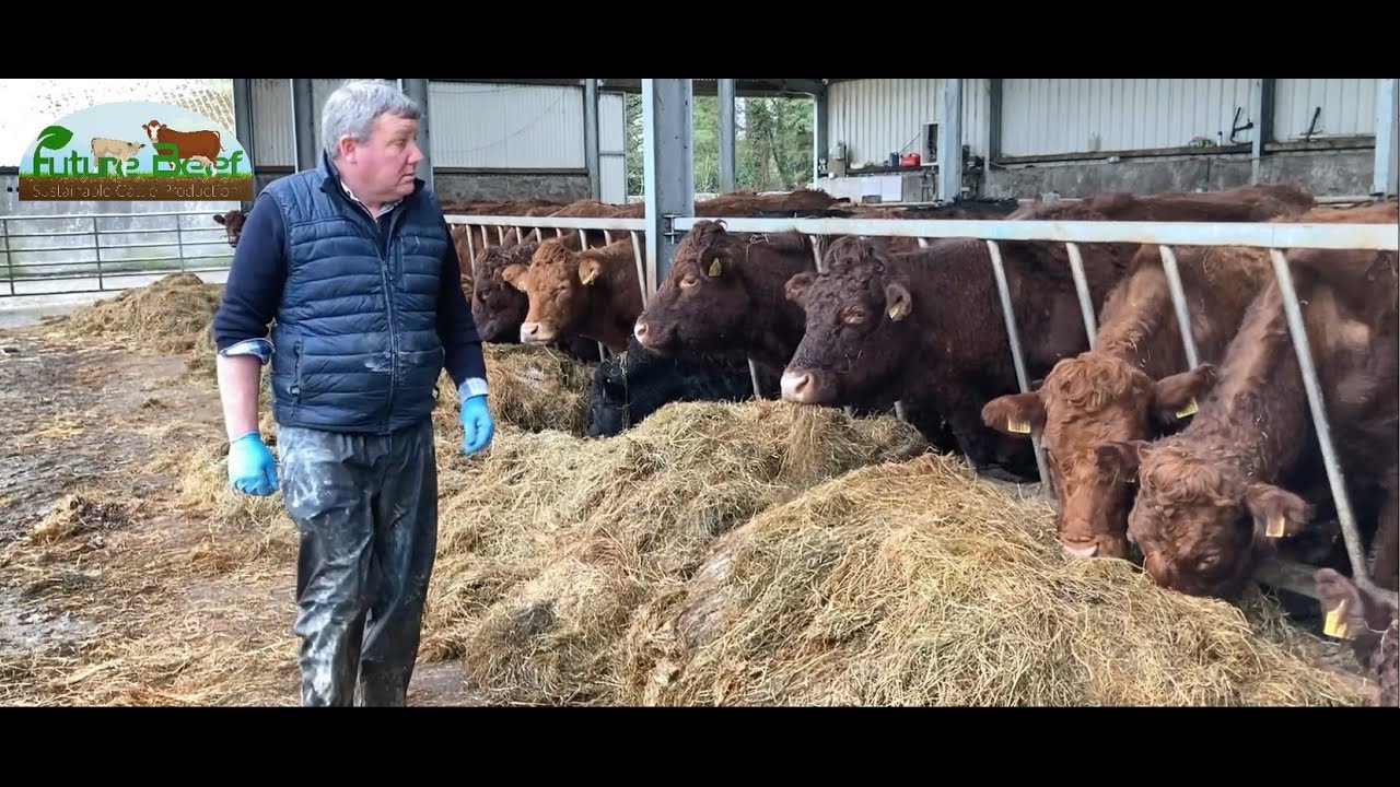 Shane Keaveney, Ballinlough, FutureBeef Farmer