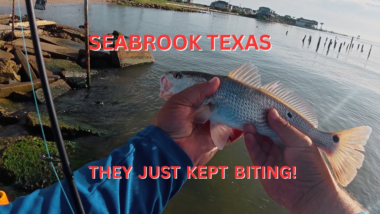GoPro Died, but the Bite Was On Fire! | Seabrook Bank Fishing Action