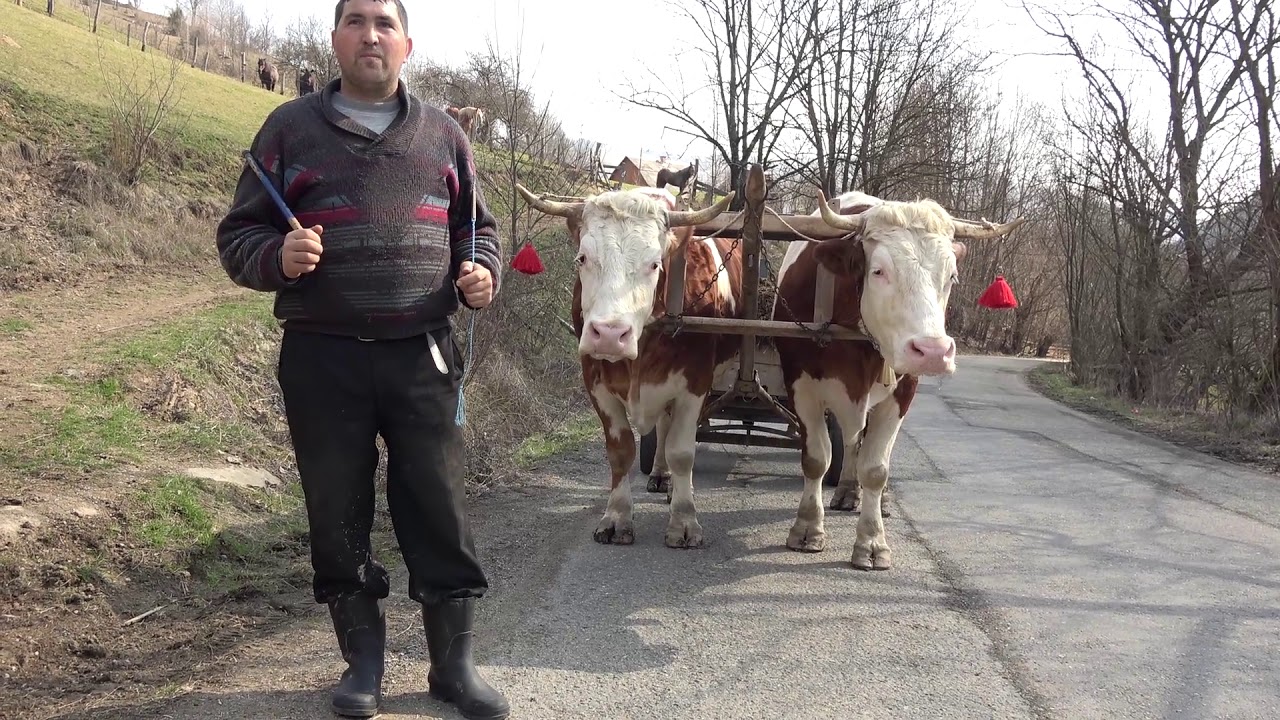 Undeva in Romania - 2020 Nou!!!