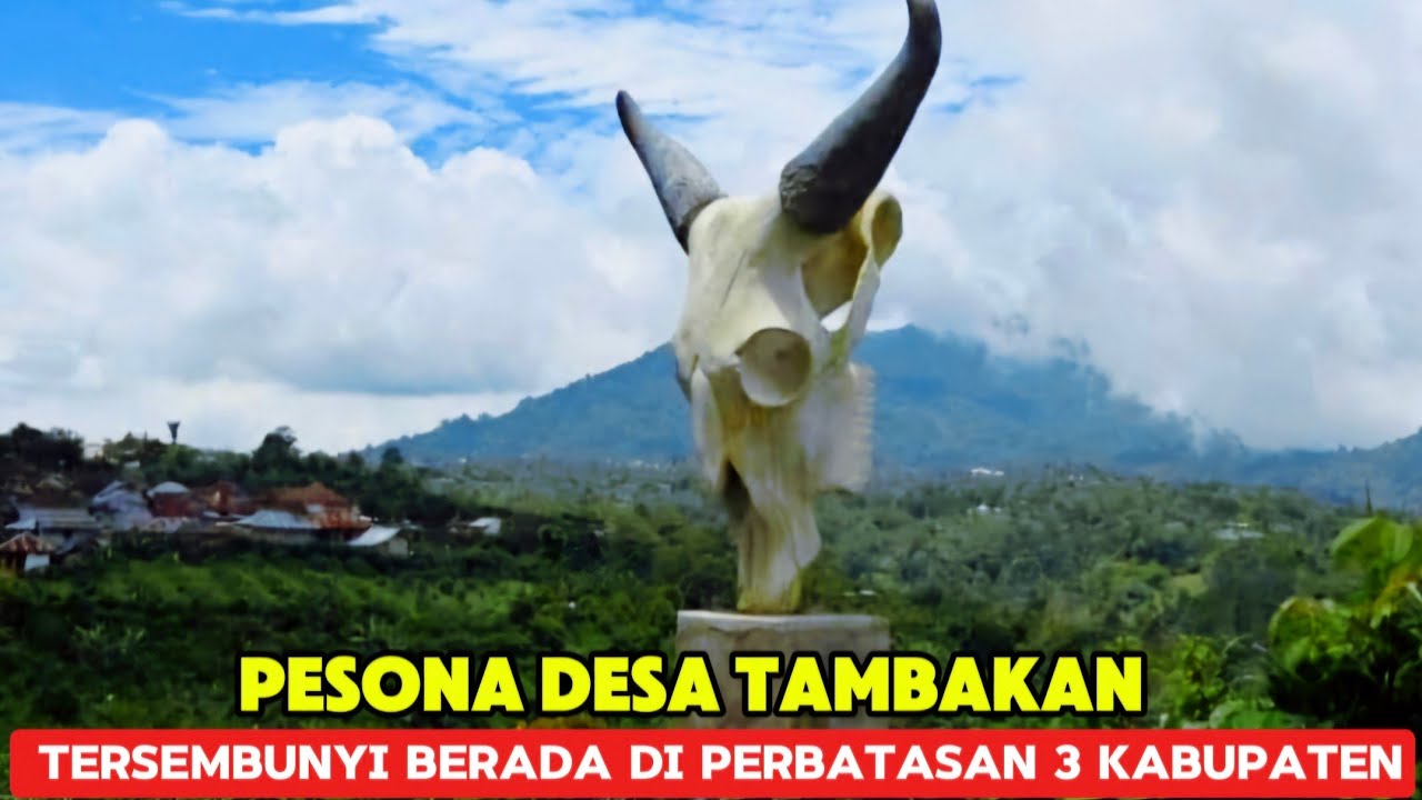 BLUSUKAN DI DESA TAMBAKAN || SALAH SATU DESA DI PELOSOK YANG BERBATASAN DENGAN 3 KABUPATEN