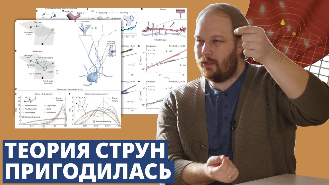 Как теория струн поможет прогнозировать болезни сосудов? И когда ИИ воскликнет 