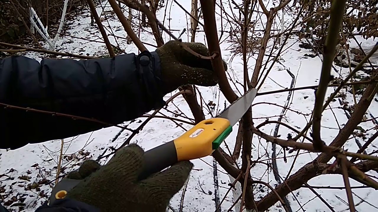 детальная обрезка персика