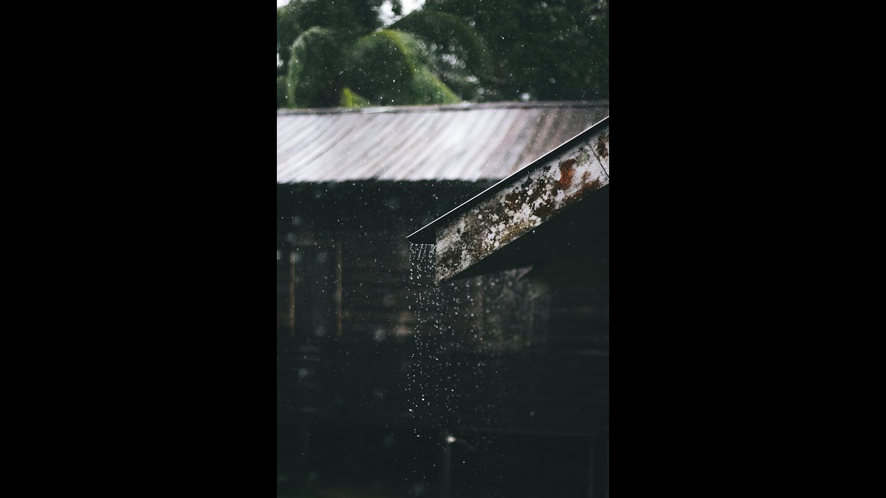Rain on a Tin Roof | Cozy Ambient Sound for Sleep & Relaxation