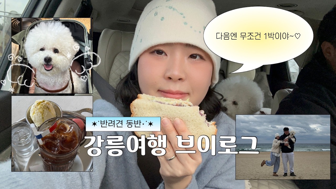 강아지와 함께한 강릉여행🐶ㅣ강릉 애견동반 맛집,카페,소품샵 당일치기 일정. 근데 우리 왜 당일치기로 왔어?（ •̥  ̫ •̥ ）