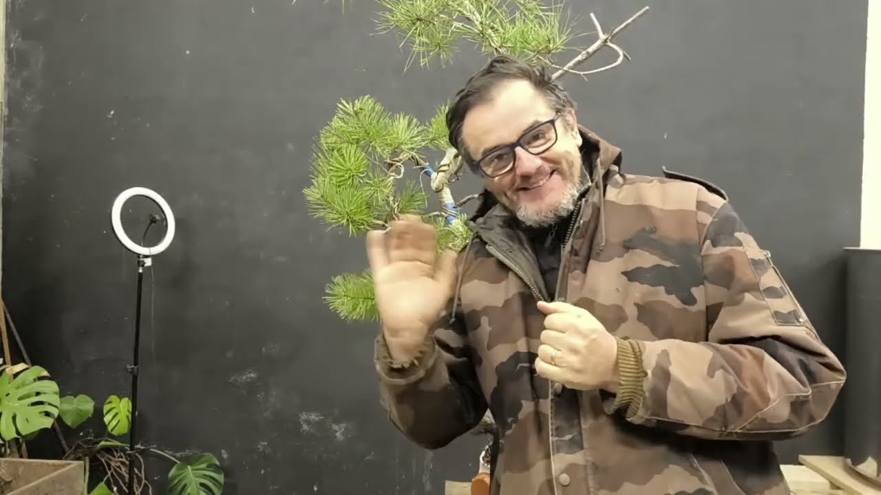 Du froid sur nos bonsaï pour ce début d'année