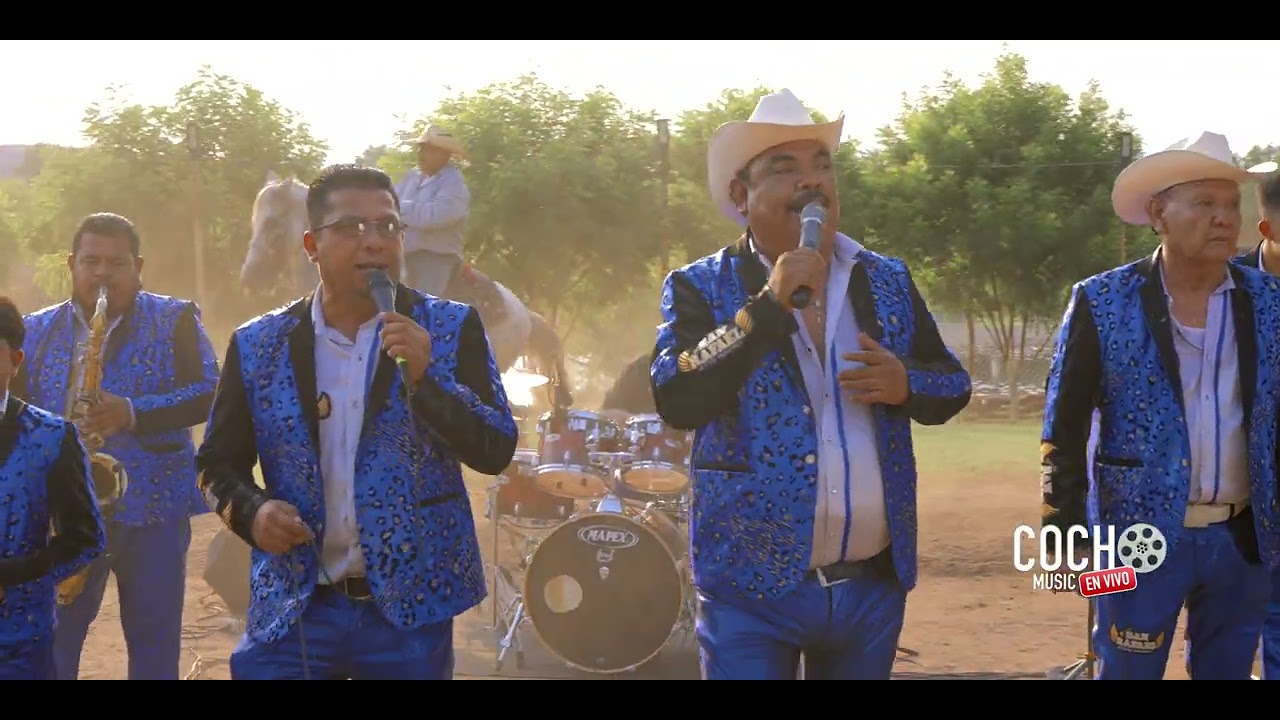 Los Dos Arbolitos - Banda San Rafael De David Valenzuela - COCHO Music En Vivo 2024