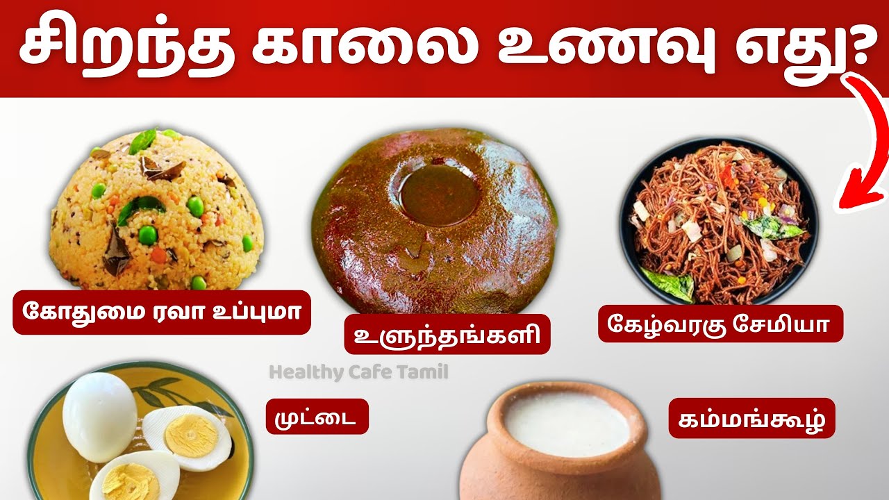 2025 - இல் 🍽️ BEST BREAKFAST FOOD 💪 உடலை இரும்பு போல் பலப்படுத்தும் சிறந்த காலை உணவு இதுதான்!