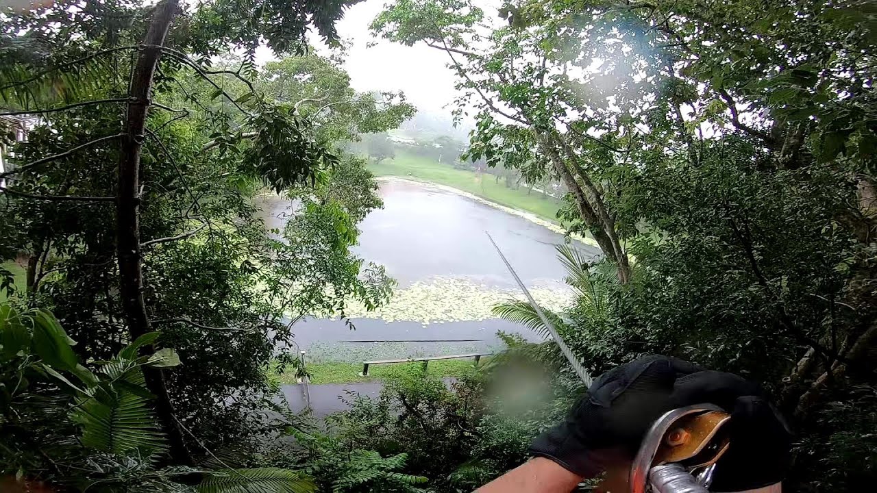TreeTop Challenge Sunshine Coast