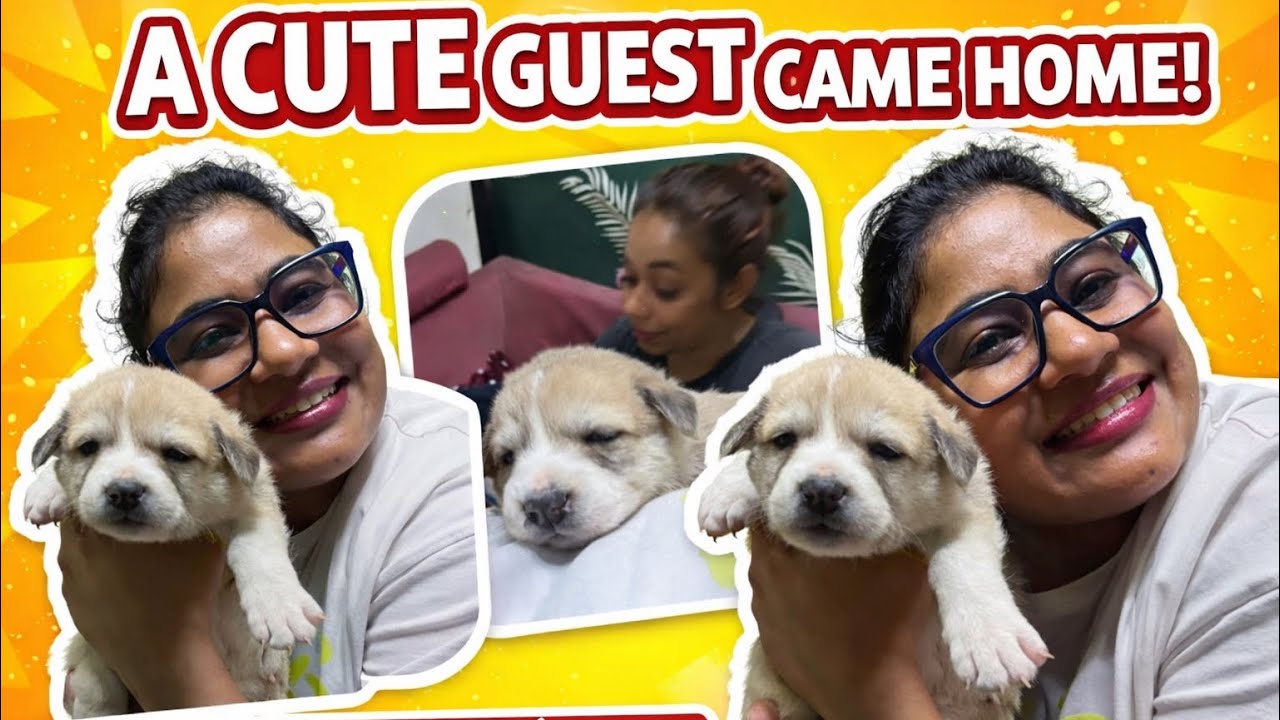 #cutiepie #guesguess s #pyar 