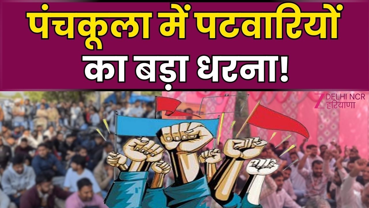Panchkula Patwari Protest: पंचकूला में 2500 प्रशिक्षु पटवारी धरने पर |Trainee Patwari Strike Haryana