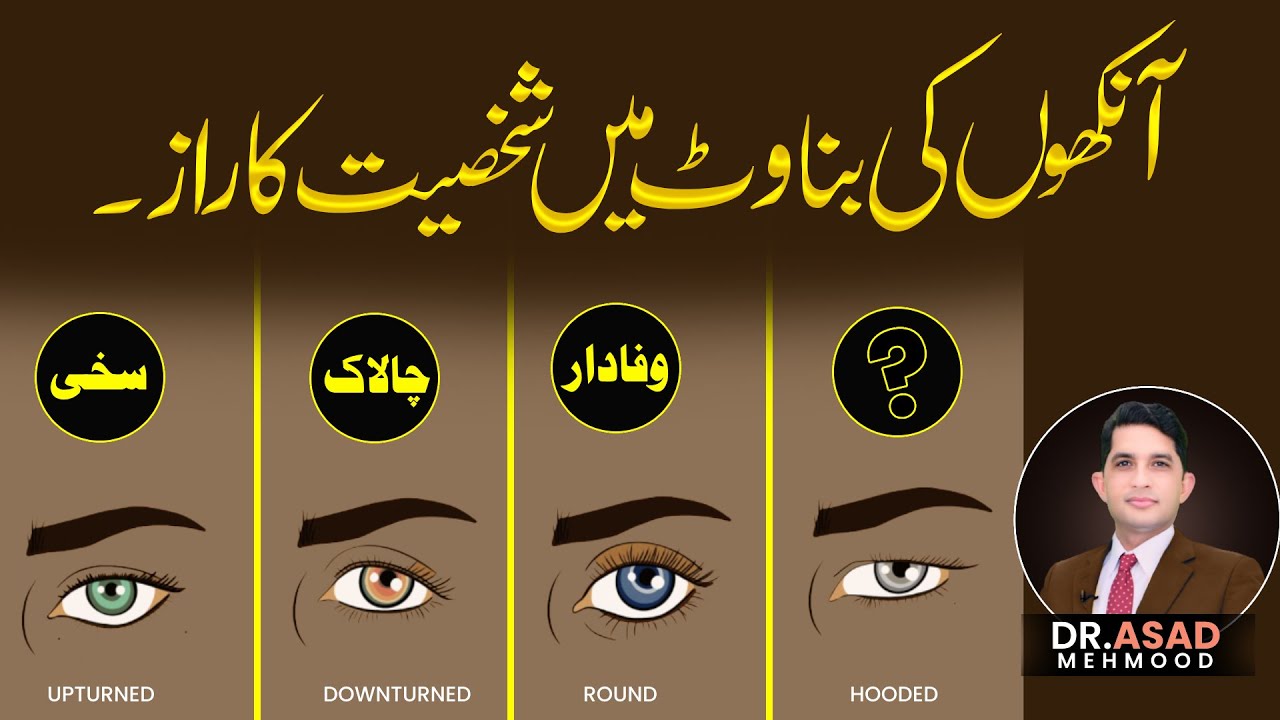 What Your Eye Shape Says About Your Personality!  | Islamic Learning Hub