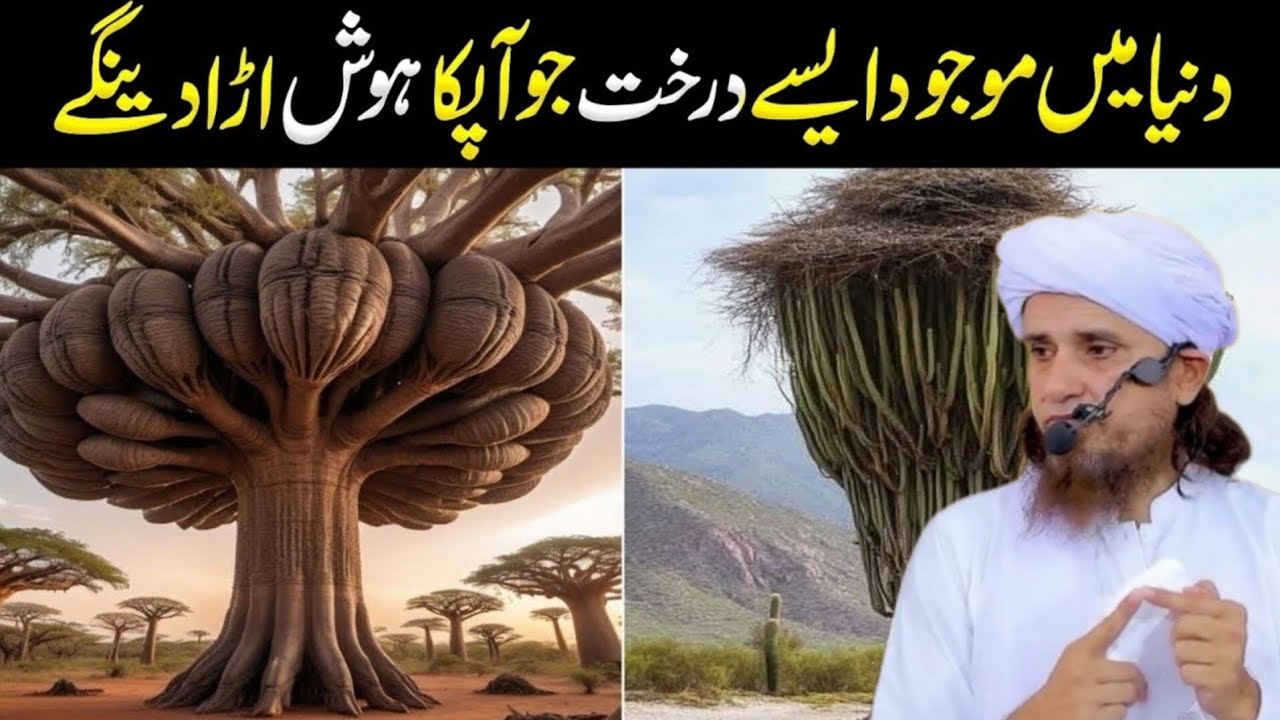 Duniya Me Mojood Aese Darakht Jo Aap Ka Hosh Uara De Ge | Aese Cheezein | MolanaTariq Masood 