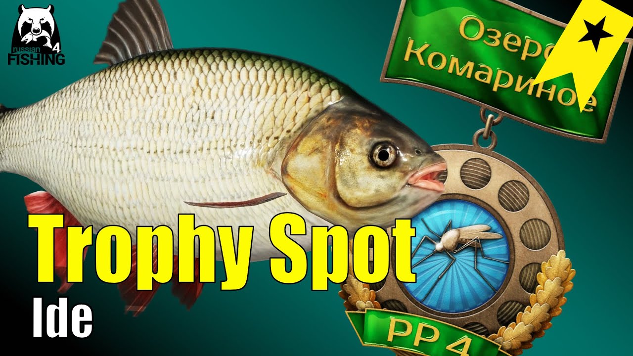 Russian Fishing 4 - Mosquito Lake - Почётный рыболов Mosquito Lake с язем, rf4 mosquito lake yaze
