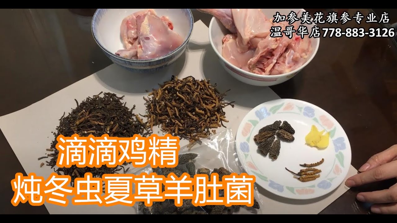 滴滴鸡精炖冬虫夏草汤—【Maybel话你知】Pure chicken Essence soup stew Cordyceps and Morels
