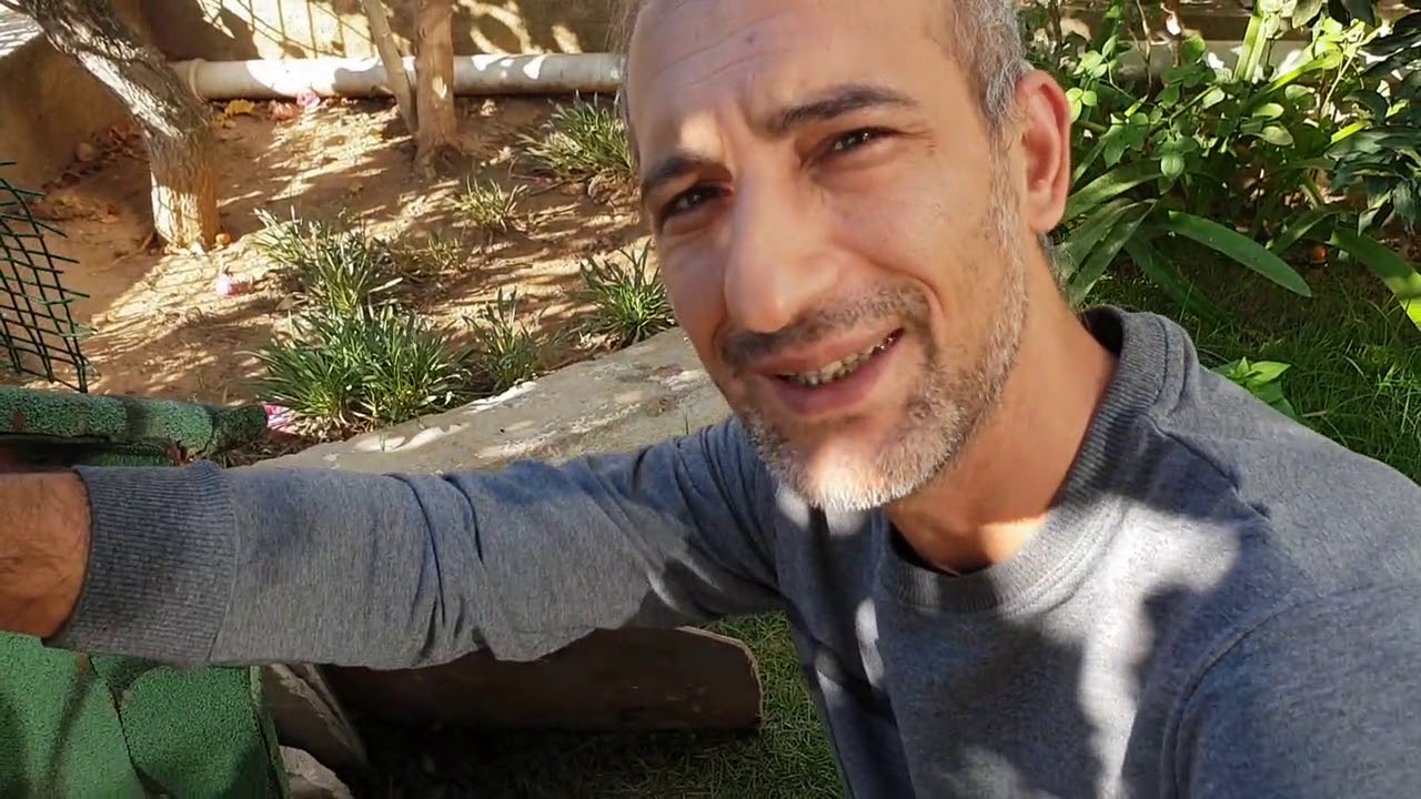 DIŞ ÇİÇEK TEDAVİSİ (UYGULAMALI) MUTLAKA İZLEYİN..!!