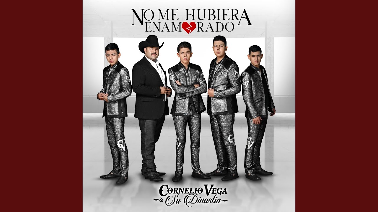 No Me Hubiera Enamorado