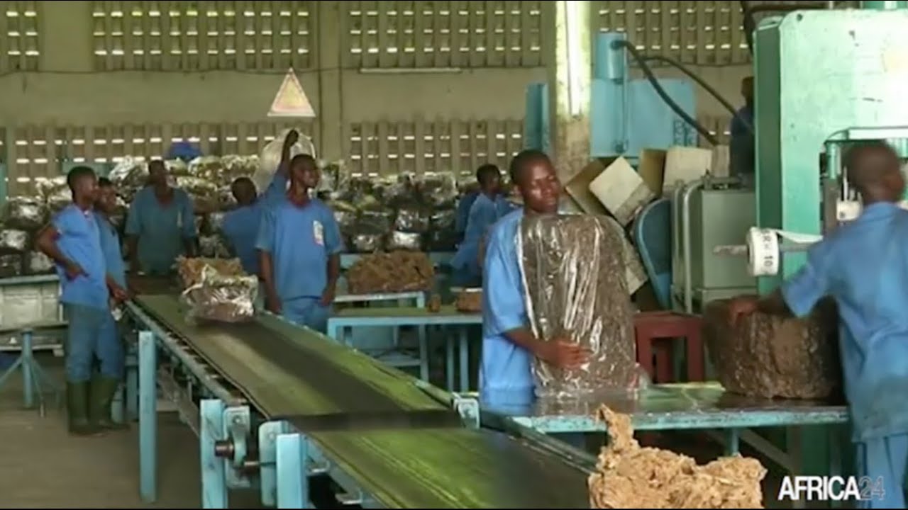 Côte d’Ivoire - Caoutchouc : les capacités de la SAPH passent à 1,4 million de tonnes