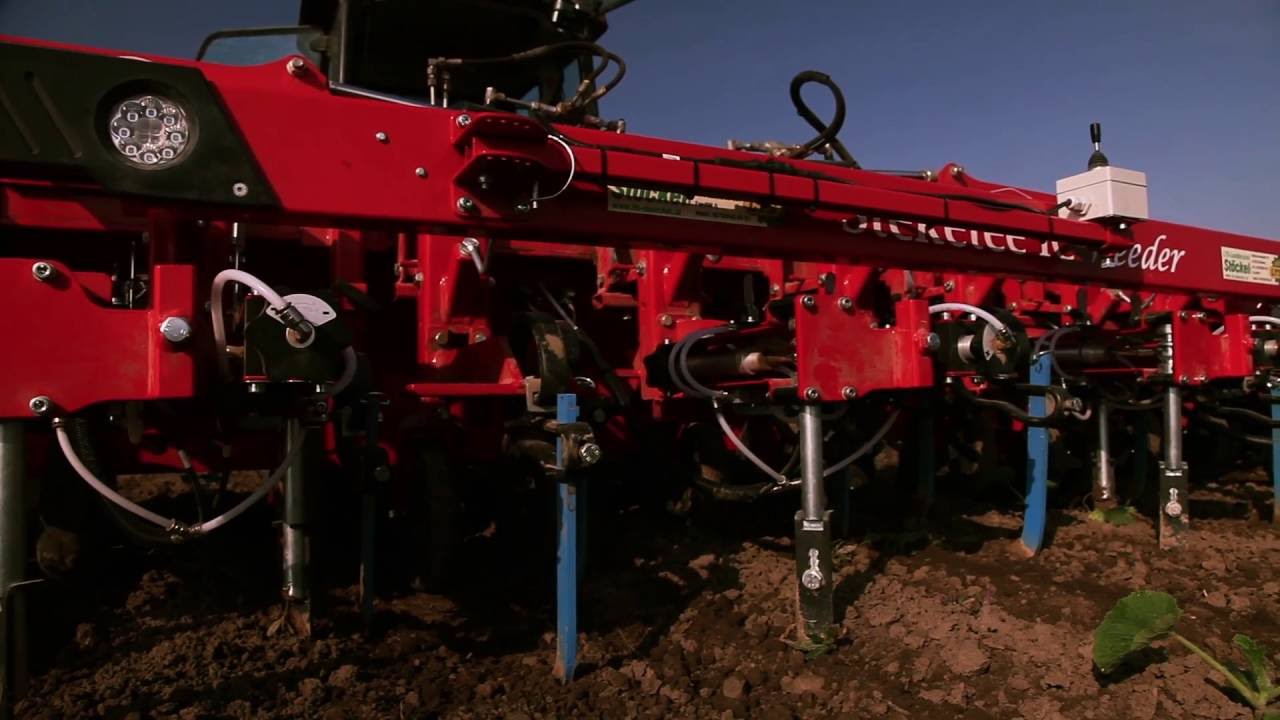Automatic Hoeing Machine - Steketee IC - AGROM