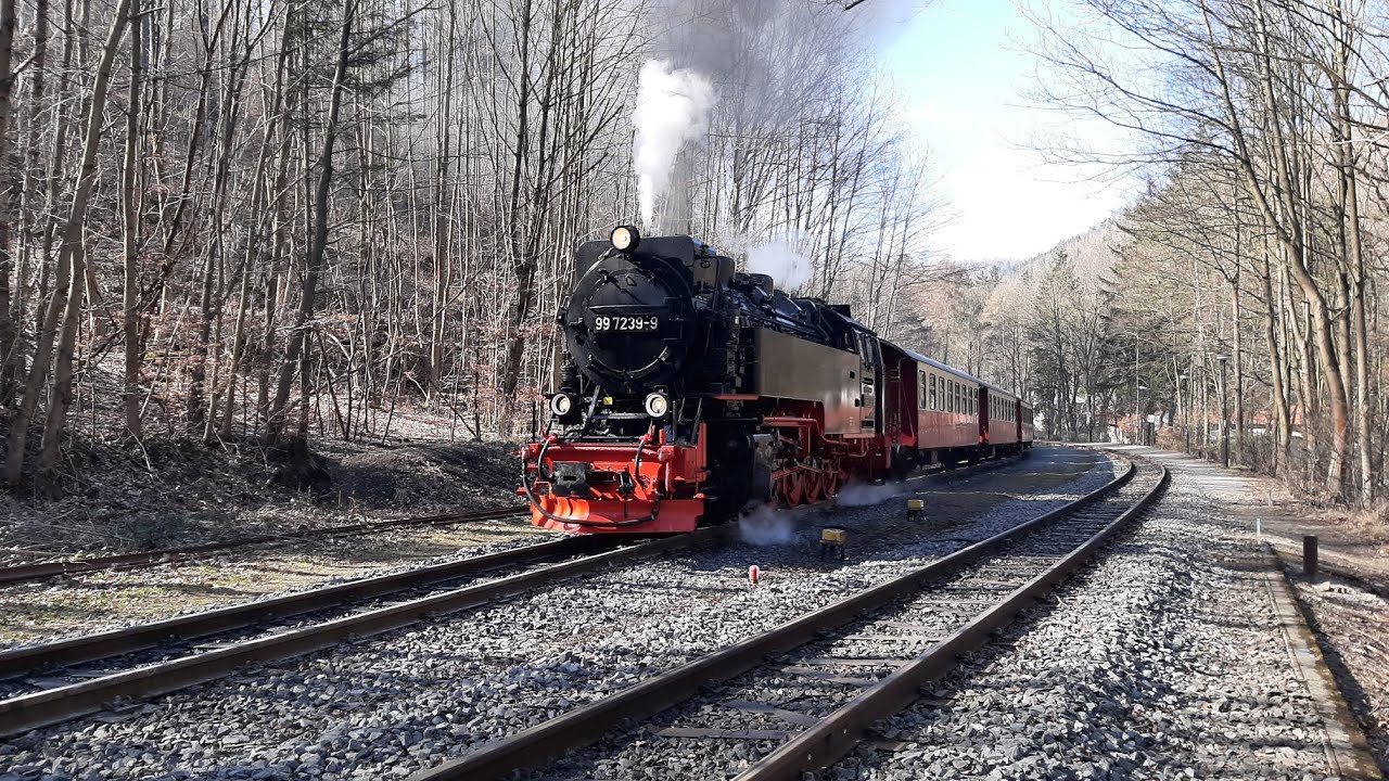 🚂☀️🌲 99 7239 auf Probefahrt/Lastenfahrt. 9 Wagen zog die gute Maschine. 20.03.2025 🌲☀️🚂
