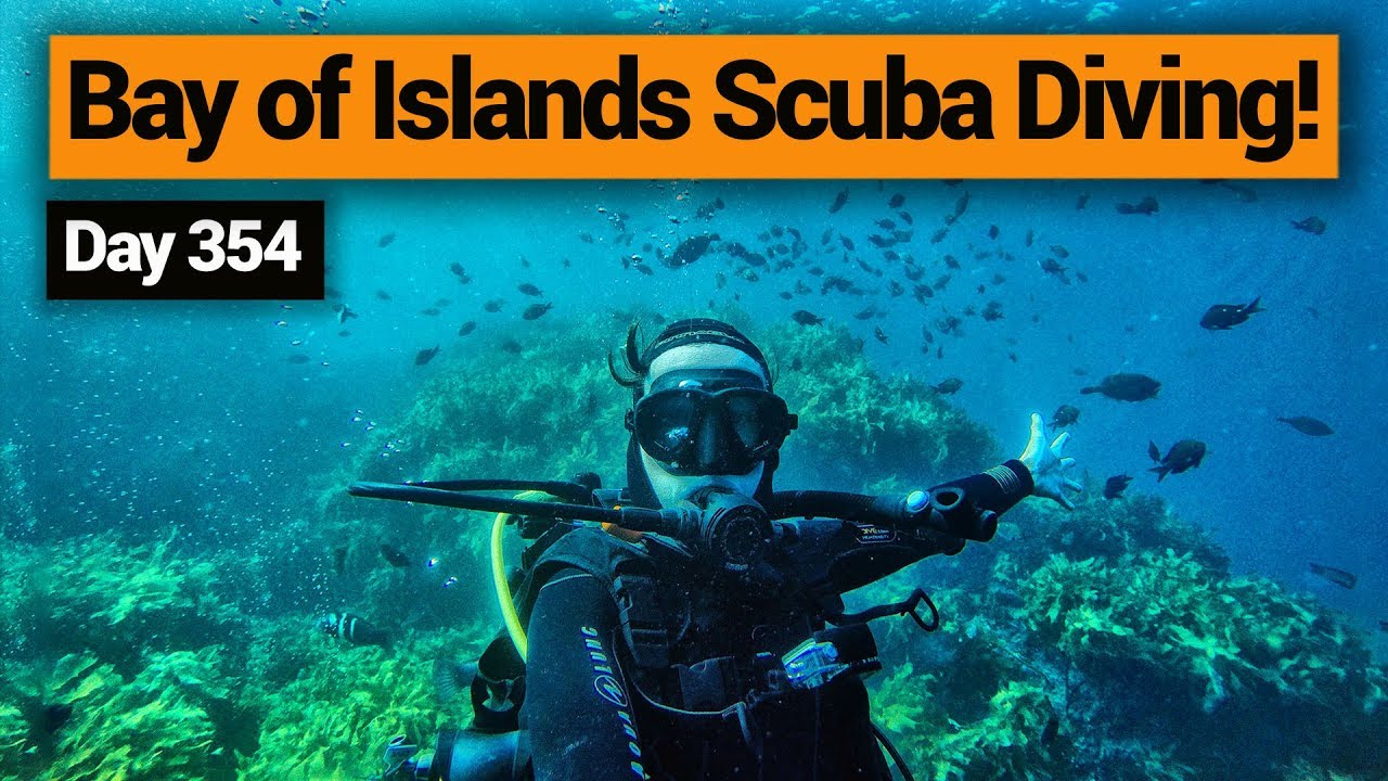 🤿 Scuba Diving in the Bay of Islands – New Zealand's Biggest Gap Year – Backpacker Guide New Zealand