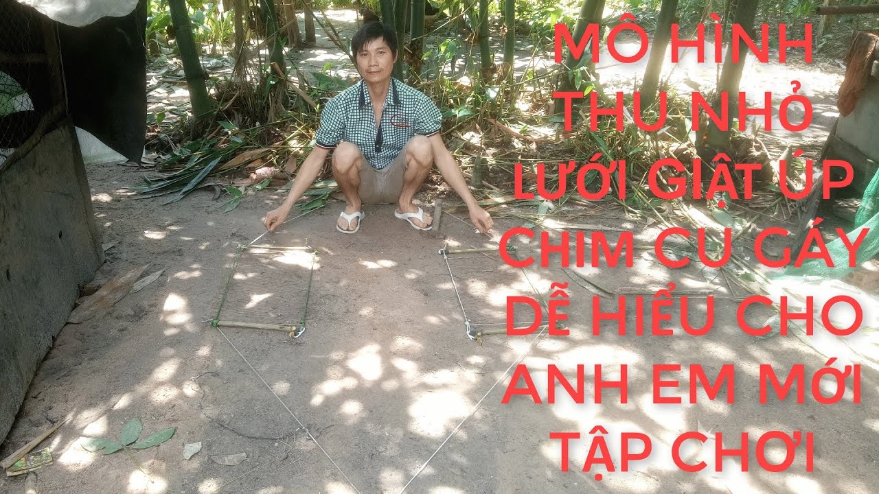 Mô hình thu nhỏ lưới giật úp Chim ,Cu Gáy cho anh em mới tập chơi -  tập 27 I Long Ruồi Vlogs