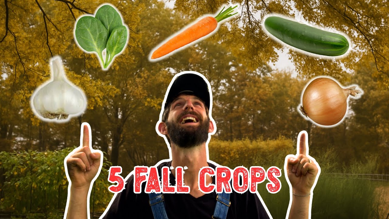5 Crops You Can STILL Plant This Fall for a Great Harvest