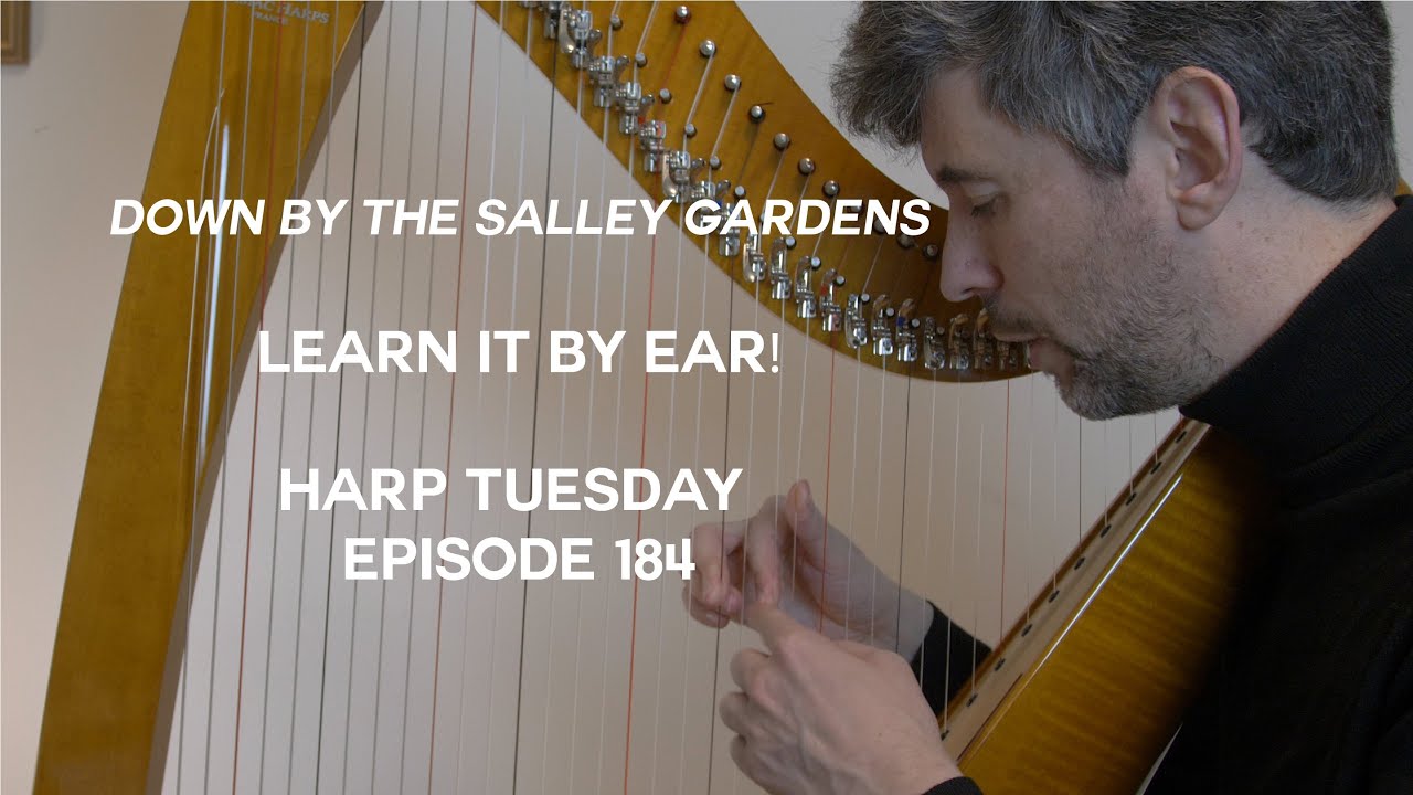 Разучивание на слух композиции «Вниз по садам Салли» — Harp Tuesday, выпуск 184