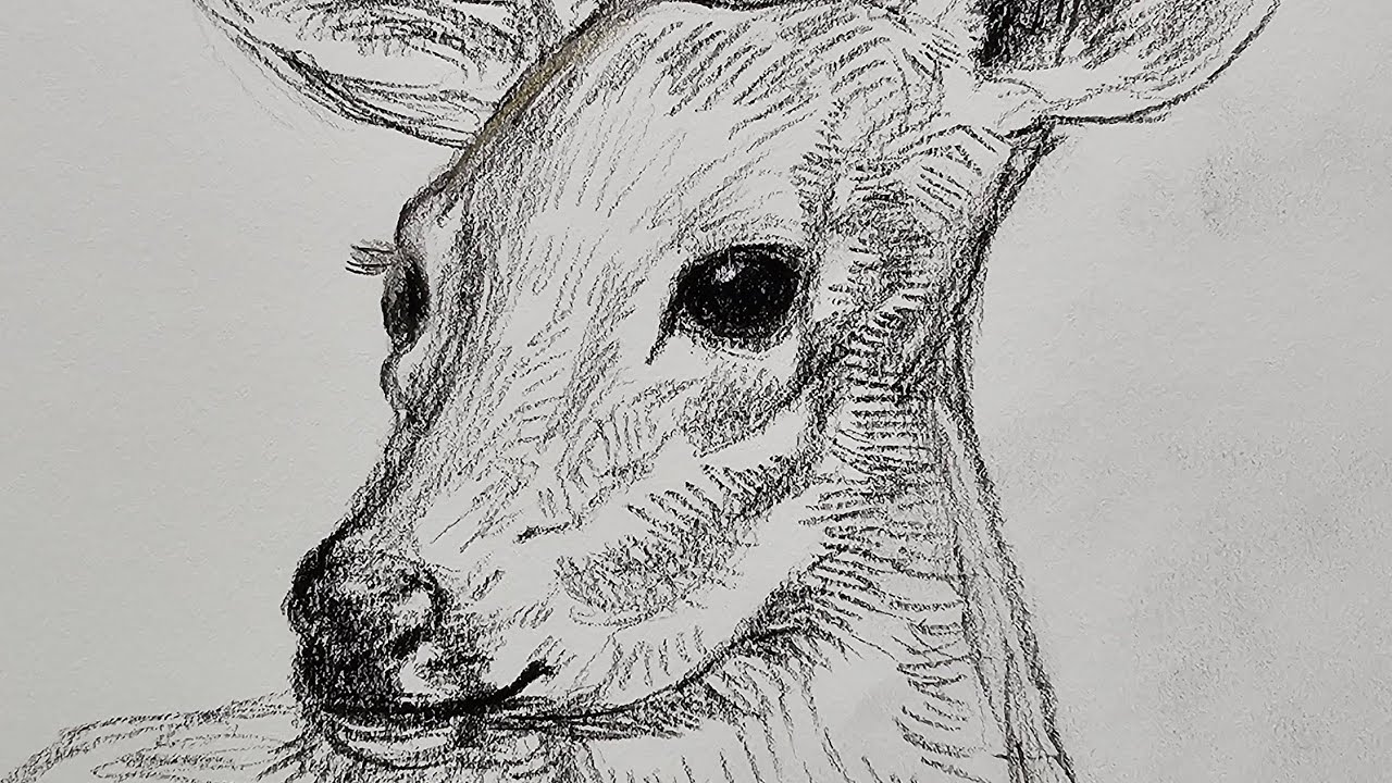 Live drawing practice. #drawing #drawingbyhand #youtubeartist #liveartist