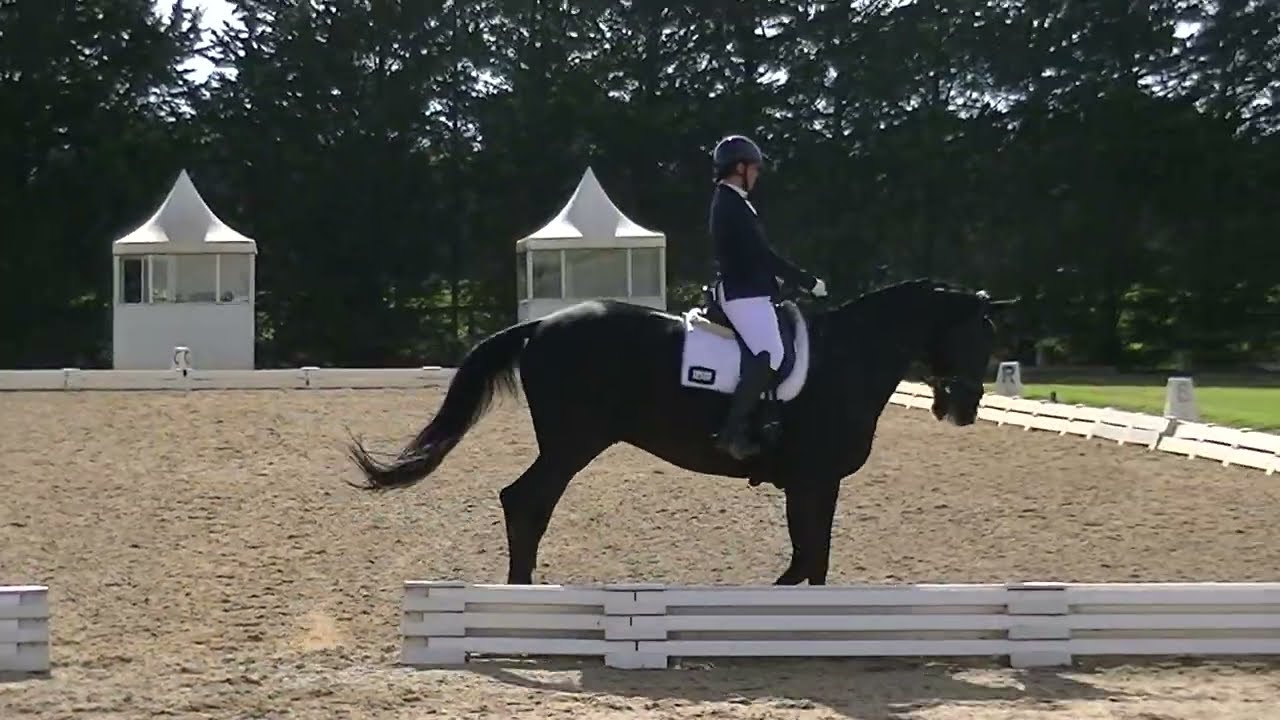 Skye Park Rugs Dressage Championships 2025
