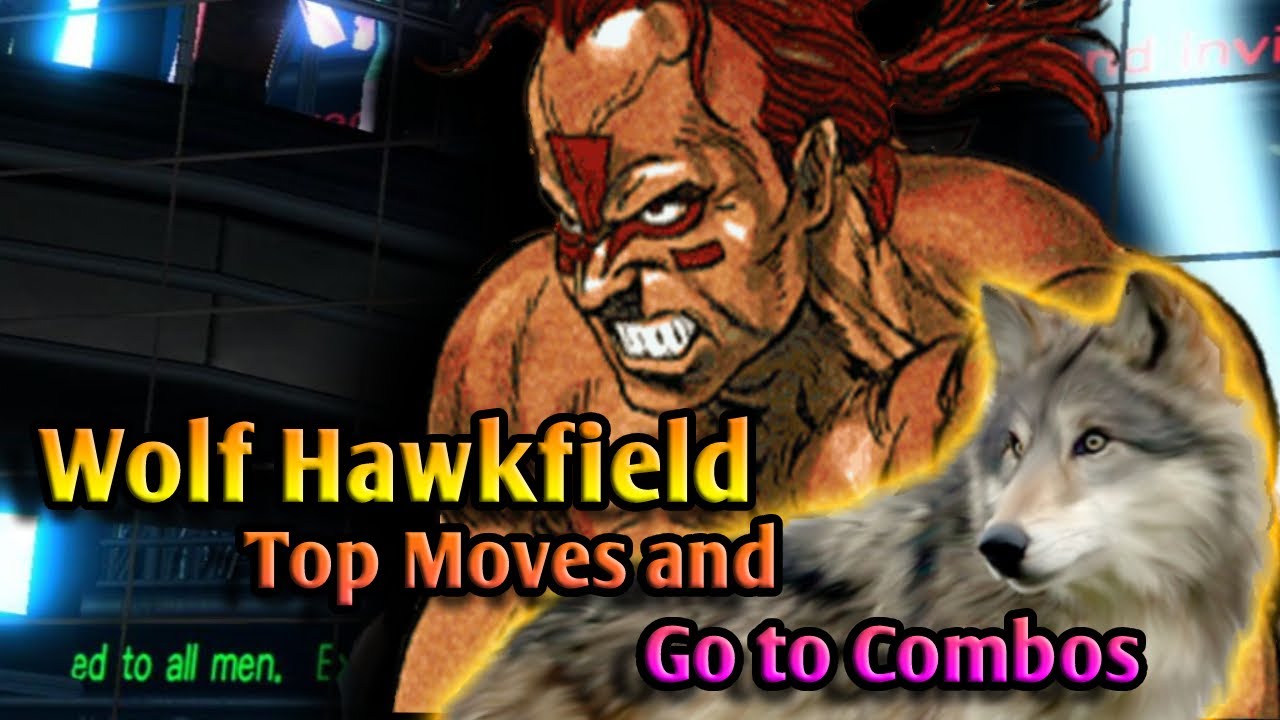 Wolf Hawkfield Guide Top Move and Go to Combos Virtua Fighter 5 Ultimate Showdown
