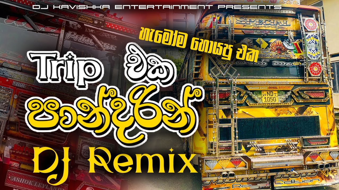 ට්&zwj;රිප් එක පාන්දරින් DJ Remix | trip eka pandarin Dj remix | Bus DJ Remix 2025 |new dj remix |