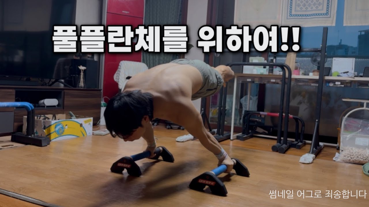 풀플란체 거의 다 왔다‼️ (썸네일 어그로..)