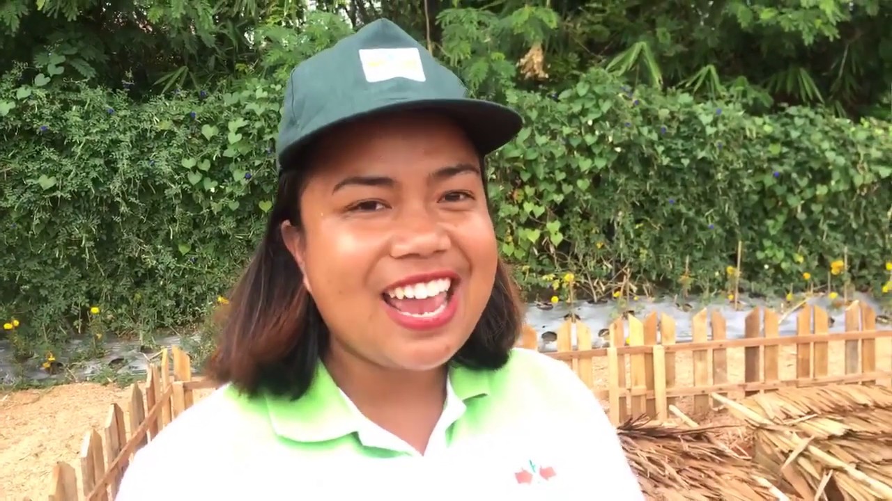 Basics of Vermi composting. Organic farming.