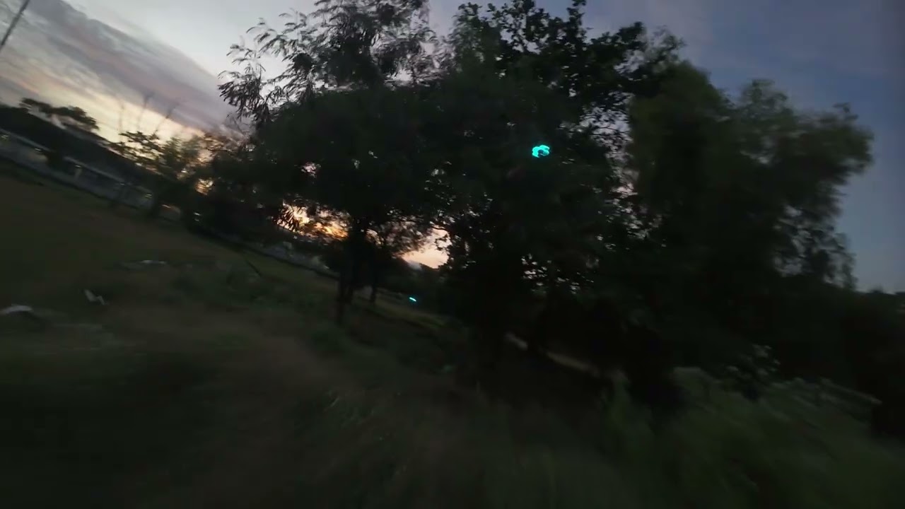 Night Chase