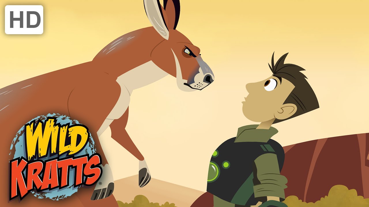 Wild Kratts | Kickin' It With the Roos | Full Episode | Season 1