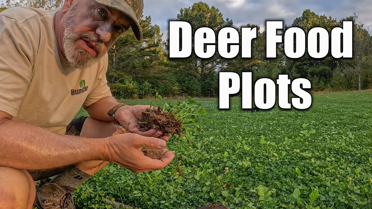 Planting Deer Food Plots - Late Season