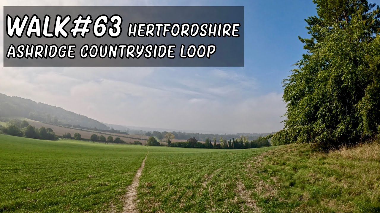 Walk 63 | Ashridge Loop #walkingtour #countrywalks #hertfordshire