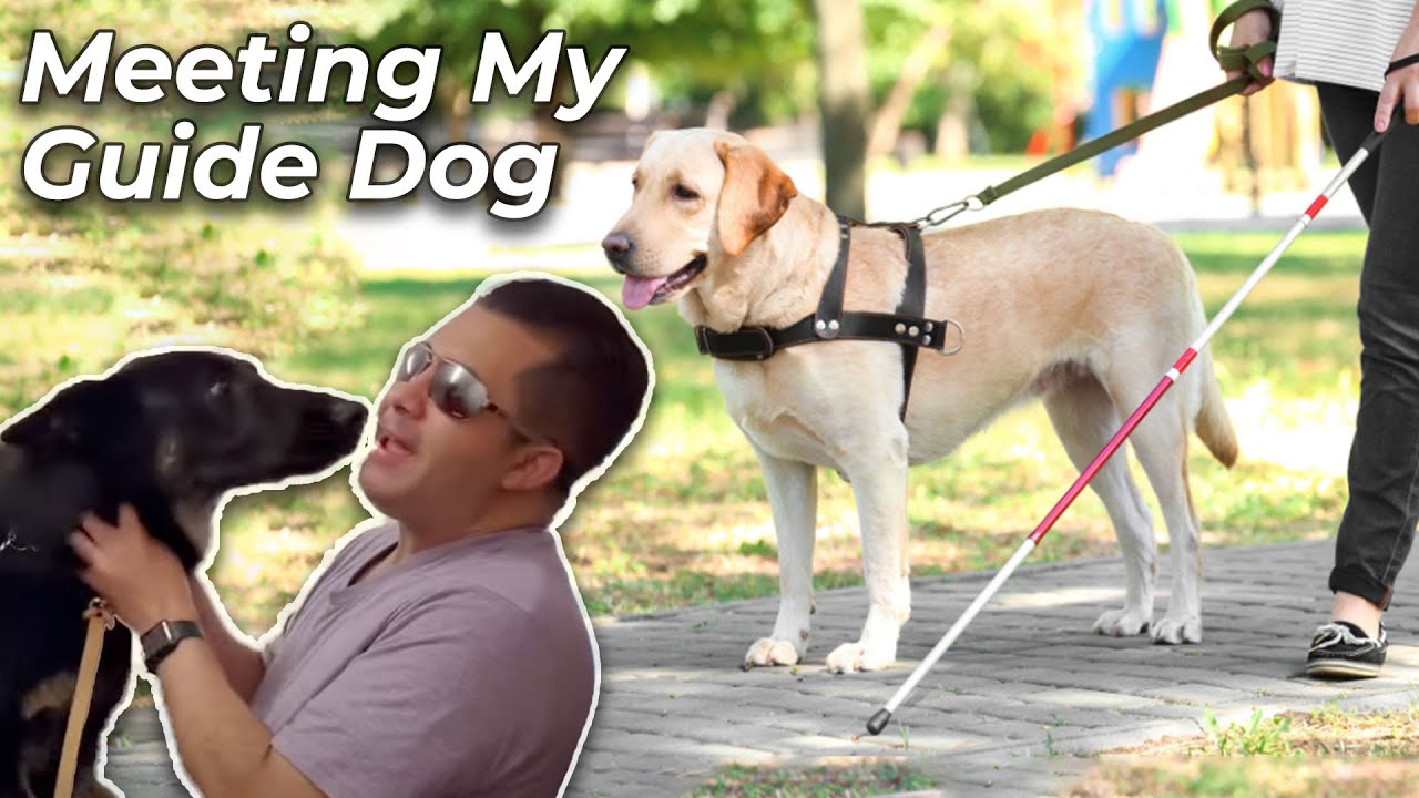 Meeting My Guide Dog For The First Time | Seeing Eye Guide Dog School