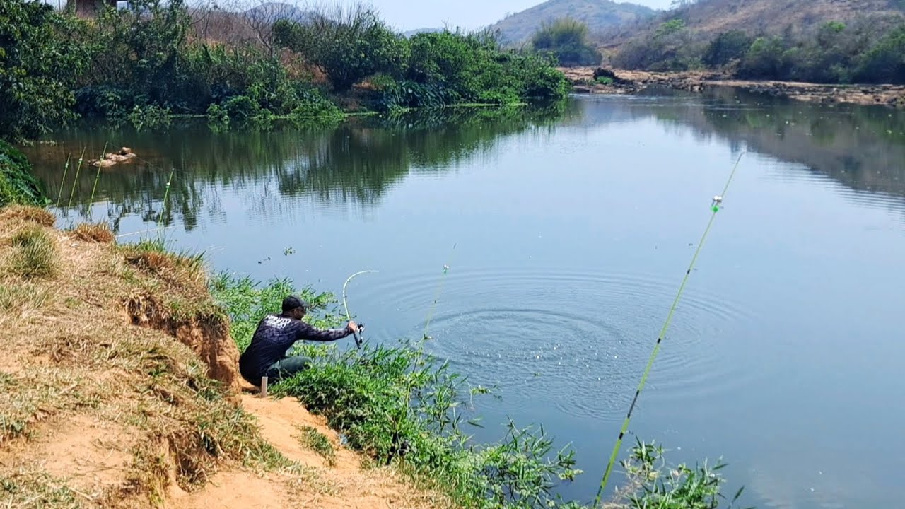 Pescaria no rio das gigantes! Achei um po&ccedil;o cheio delas, nem acreditei na quantidade que peguei