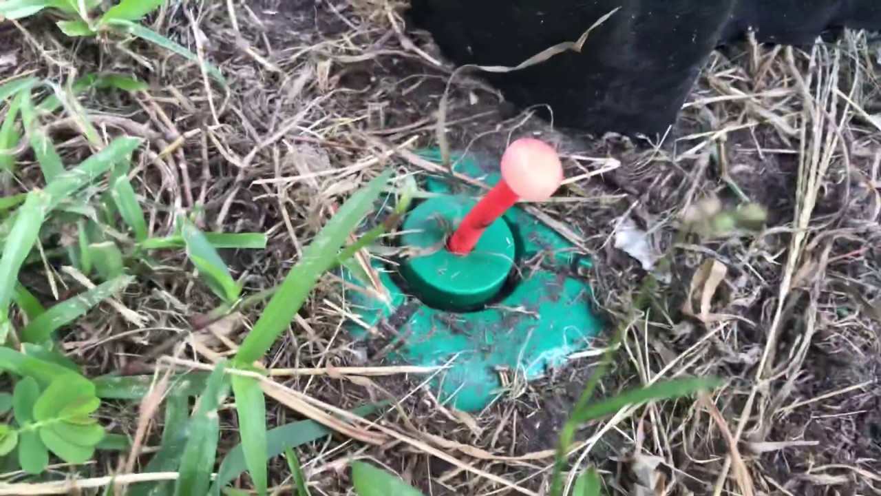 Spectracide Terminate Inspection Termite Stake