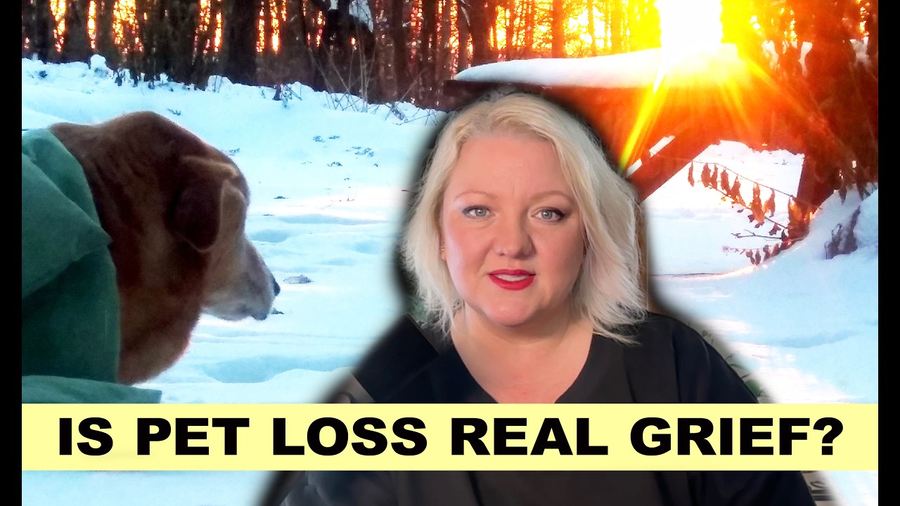 Losing a Pet: How to Honor Their Final Days (Sacred Hellos Chapter 5)