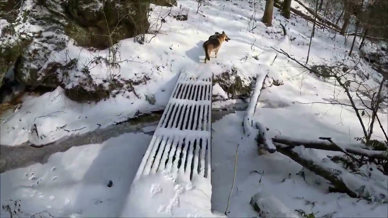 Frozen Sheltowee Trace and Whittleton Arch 