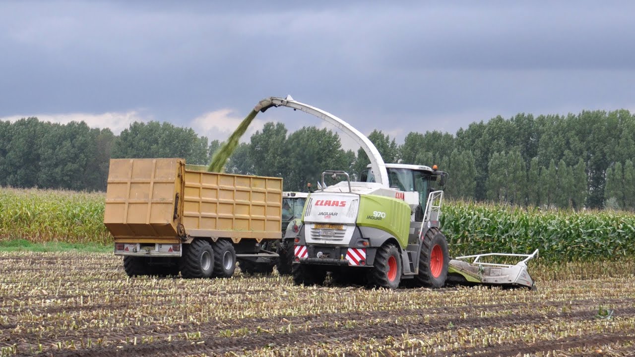 Claas Jaguar 970 - Loonbedrijf Neyt -  mais 2013