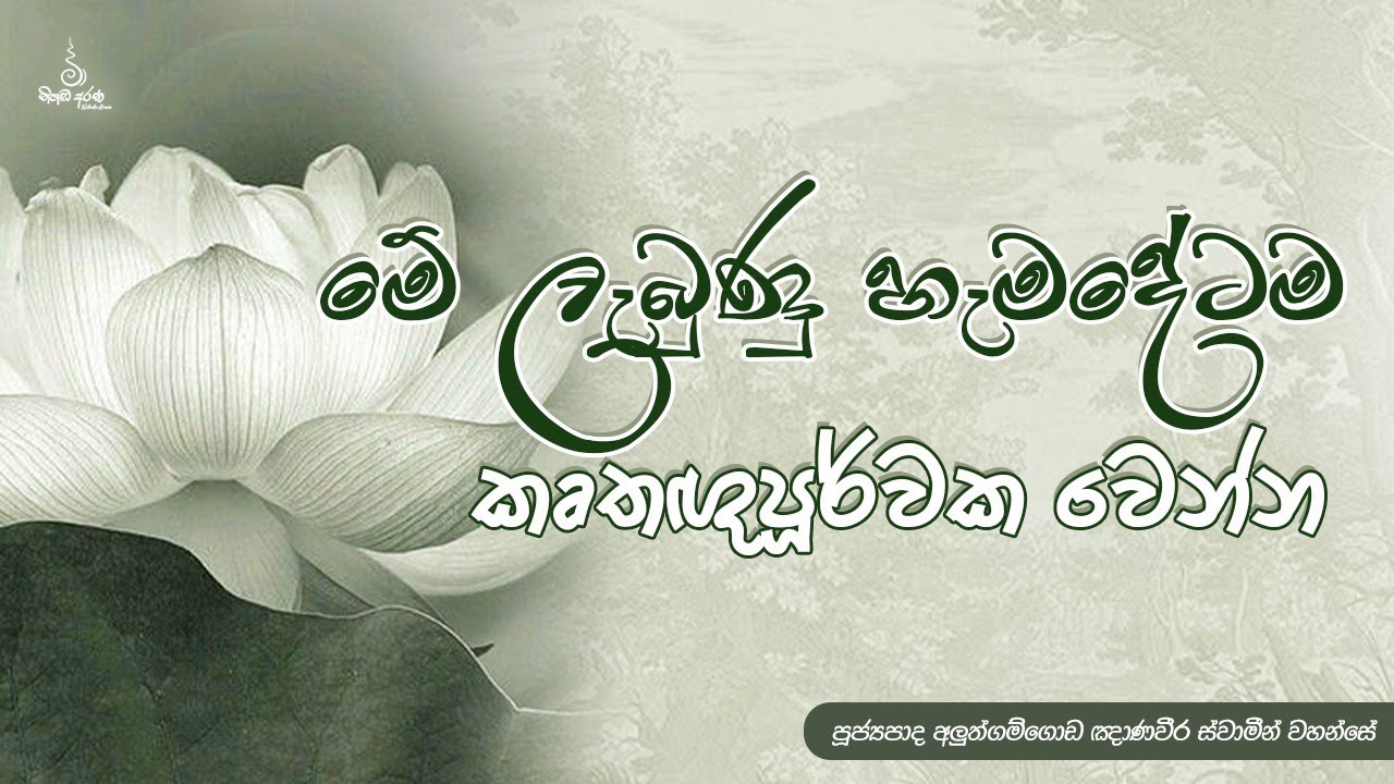 මේ ලැබුණු හැමදේටම කෘතඥපූර්වක වෙන්න - Ven Aluthgamgoda Gnanaweera Thero | නිහඬ අරණ