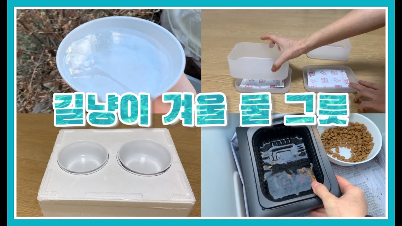 길 고양이 얼지 않는 겨울 물 그릇 비교