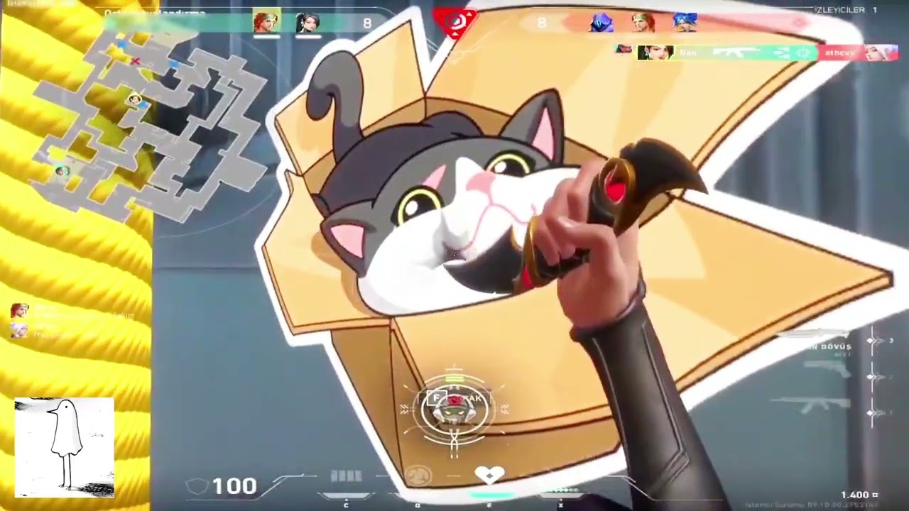 aynen going insane