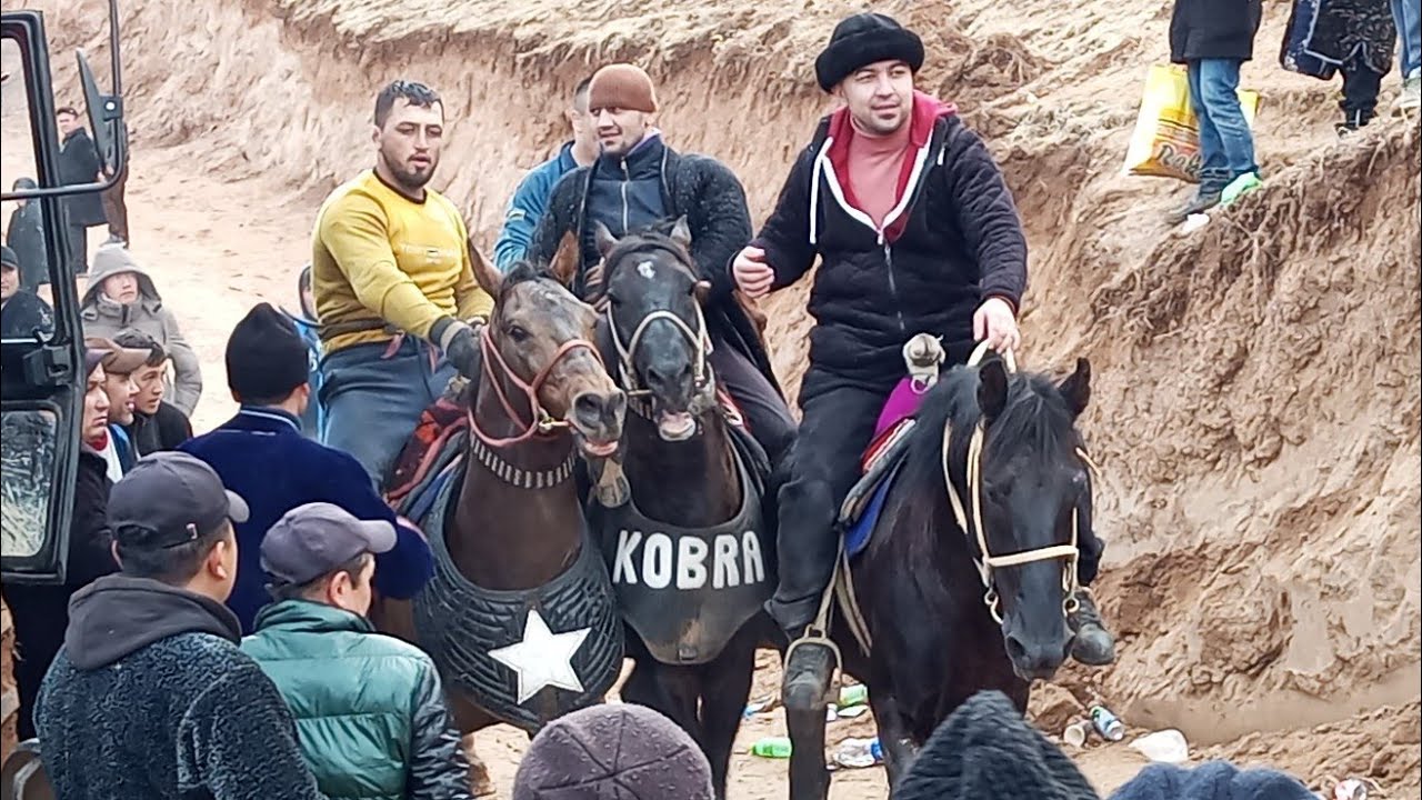 YAKKABOG' SEROB ELIDA KATTA KO'PKARI BOSHLANDI 