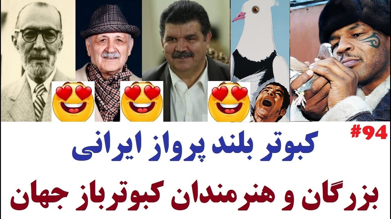 مستند زیبا و کامل درباره کبوتر و کبوتربازی در ایران بانام شازده #کبوتر #کفتر #کبوتر_بلندپرواز Pigeon