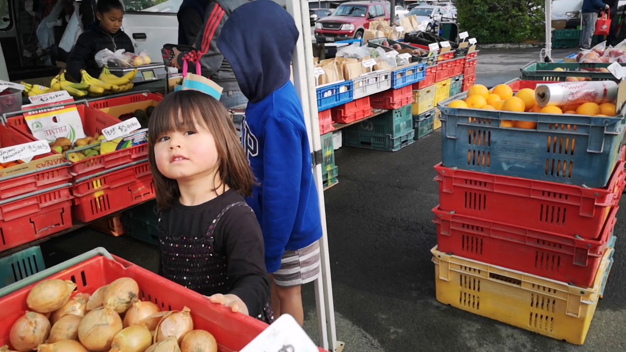 Farmer's Saturday​ Market. EP.02 #palmy #newzealand