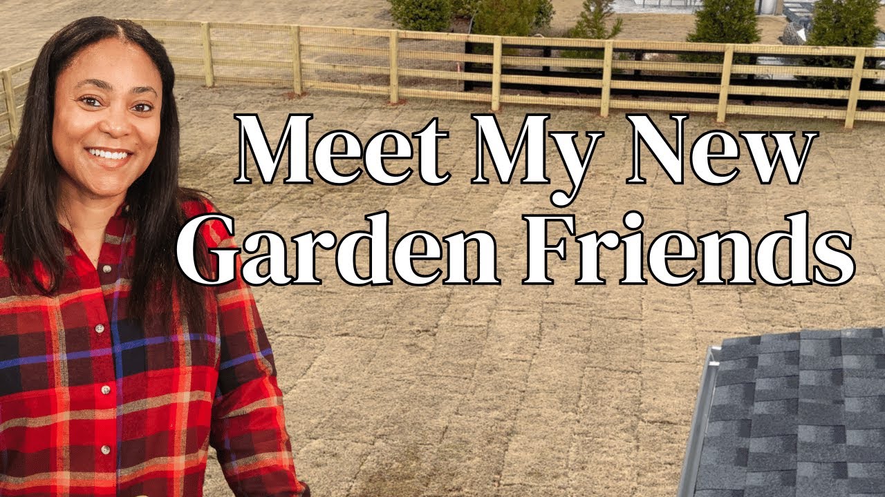BIG NEWS! Garden Updates & Meet My New  Garden Friends